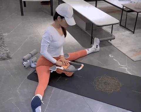 Rebound Abdominal Wheel