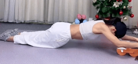 Rebound Abdominal Wheel